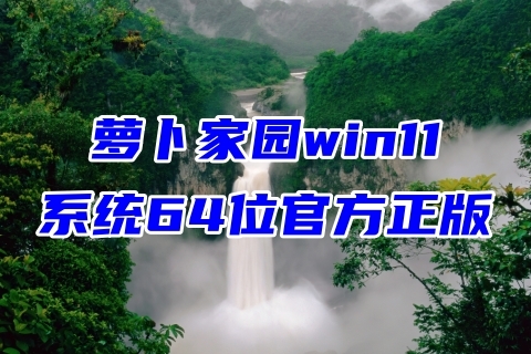 萝卜家园win11系统64位官方正版