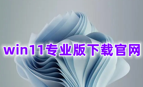 win11专业版下载官网 win11专业正式原版系统下载