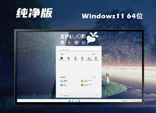 win11纯净版下载官网 win11正式中文版镜像下载