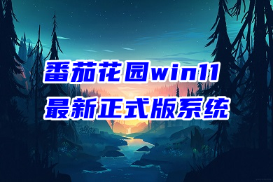 番茄花园win11最新正式版系统