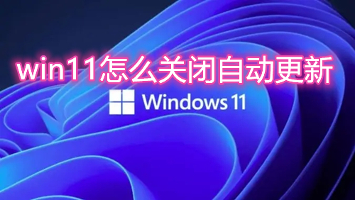 win11怎么关闭自动更新 win11永久禁用自动更新方法介绍