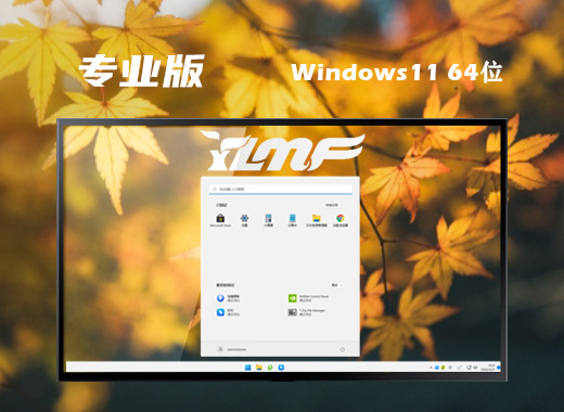 雨林木风win11微软专业版系统下载 win11官方iso镜像系统下载