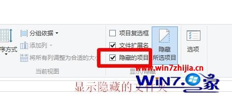 勾选“隐藏的项目”项