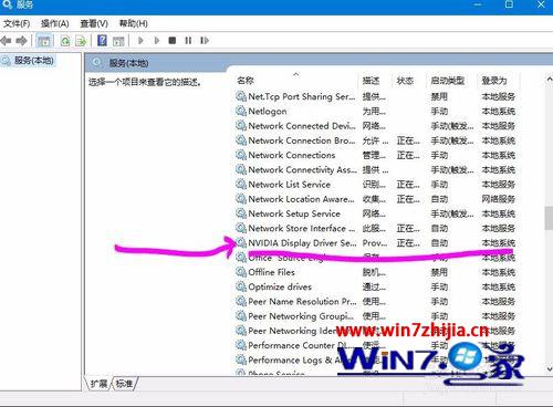 找出 “NVIDIA Display Driver Service”