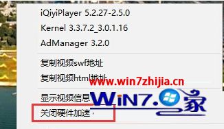 Win10系统下Edge浏览器播放网页视频出现绿屏怎么解决